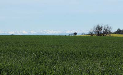bel-2022-04-11-006