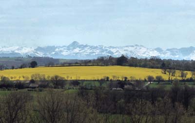 bel-2022-04-11-040