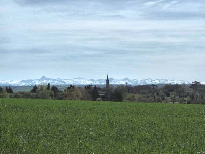 bel-2022-04-11-050