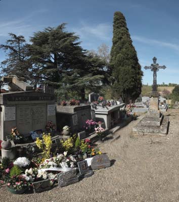 bel-2022-04-11-129 - pano