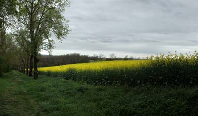 lav-2022-04-07-098 - pano
