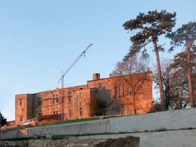 lev-2023-11-29-011
