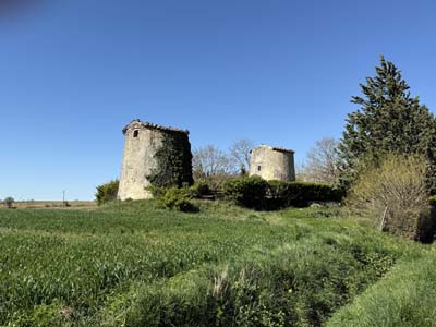 lev-2025-04-02-020