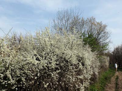 nailloux-2022-03-21-006