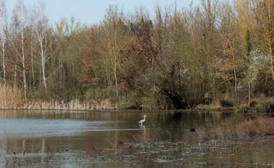 nailloux-2022-03-21-010