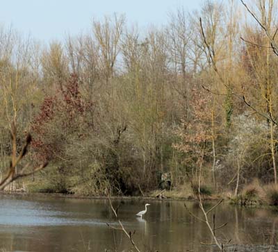 nailloux-2022-03-21-012