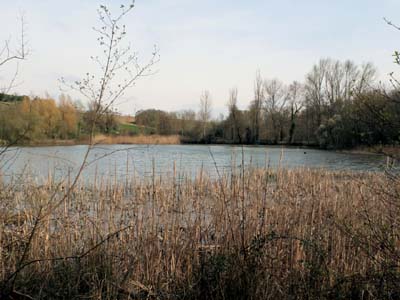 nailloux-2022-03-21-013