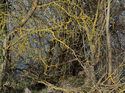 nailloux-2022-03-21-014