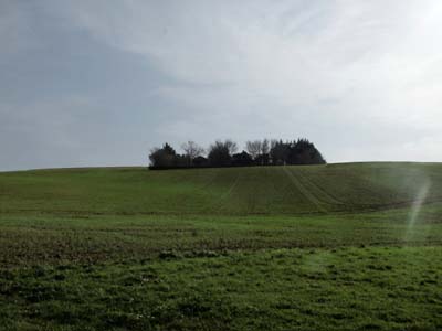 nailloux-2022-03-21-017