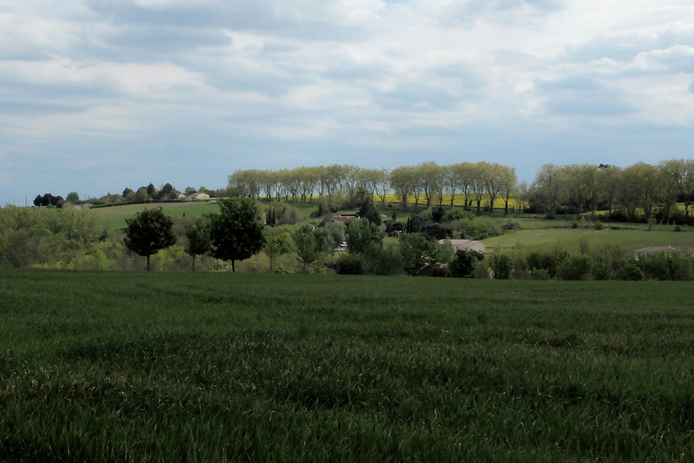 Accueil