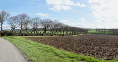 oda-2023-03-15-132 - pano