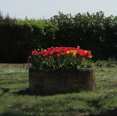 reb-2022-04-05-023