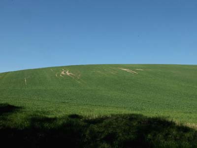 reb-2022-04-05-093