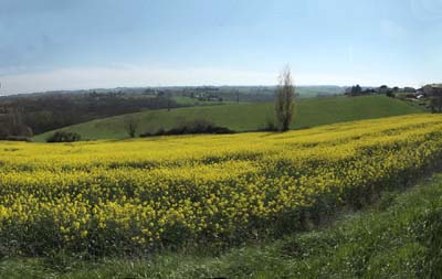 reb-2022-04-05-111 - panoa