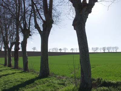 saint-pierre-dlg-2004-016