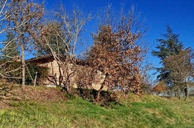 saint-pierre-dlg-2025-02-05-013