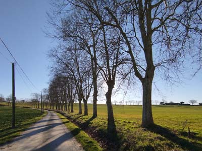 saint-pierre-dlg-2025-02-05-016
