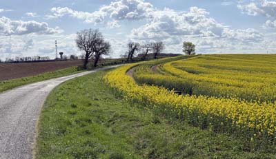 var-2025-04-06-021 - pano