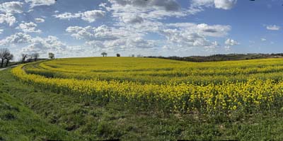var-2025-04-06-024 - pano