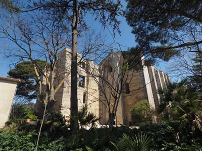 magu-2019-04-02-201