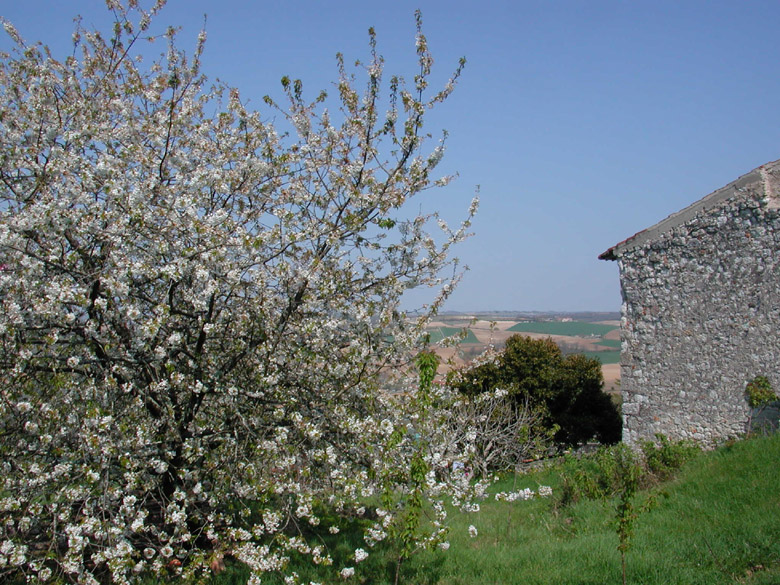 Accueil