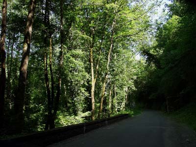 sc-p6066931