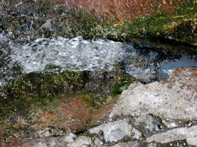 pyr-hte-luchon-014