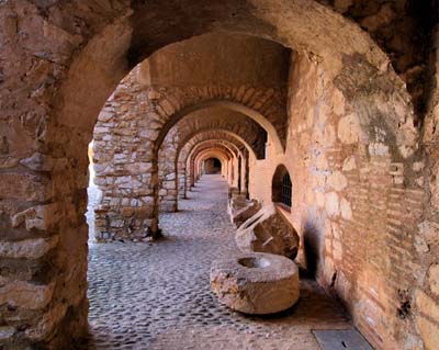 pyr-or-sals-2010-10-03-036a