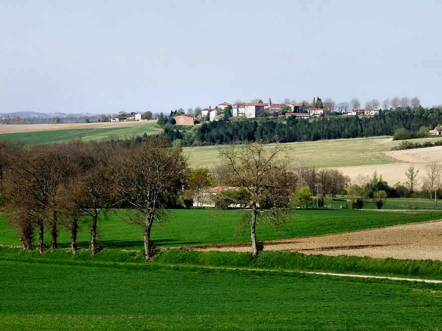 Accueil