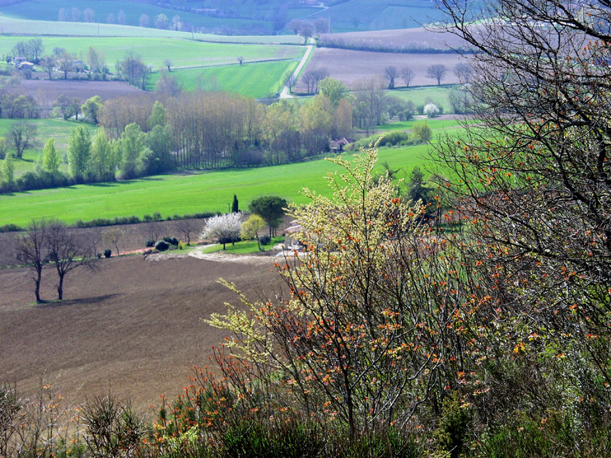 Accueil