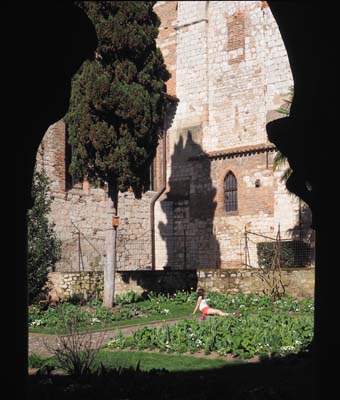 albi-2015-04-06-241o