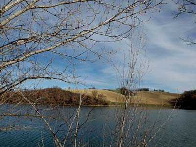balerme-2019-03-04-032