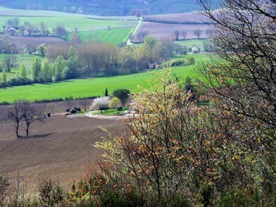 lavaur-massac-12