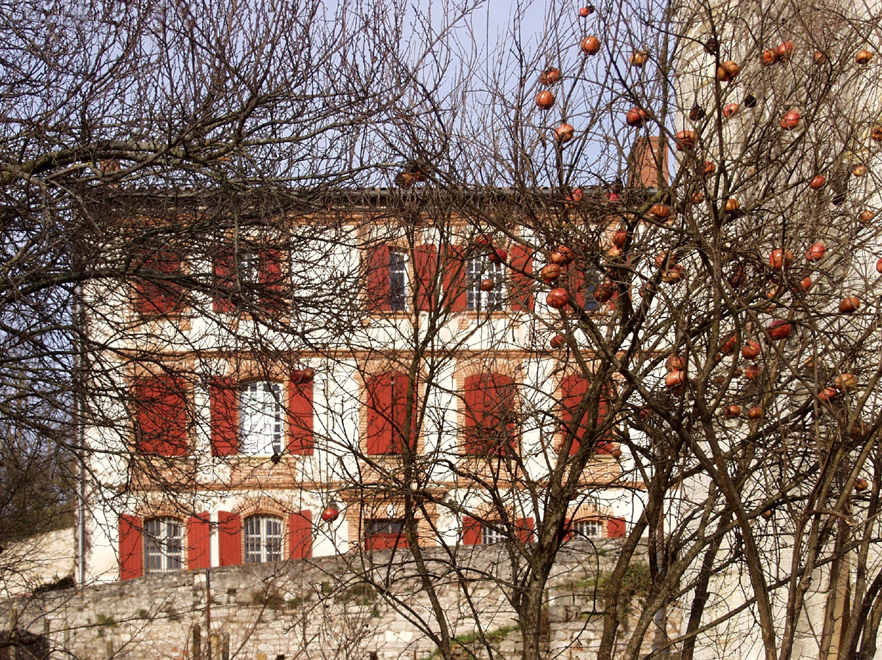 Accueil