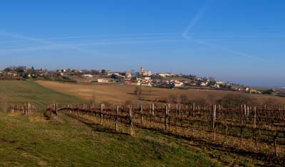 cahuzac-2011-02-09-001panb