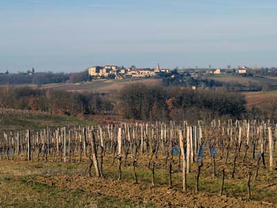 cahuzac-2011-02-09-004a