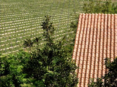 cahuzac-p5166731a