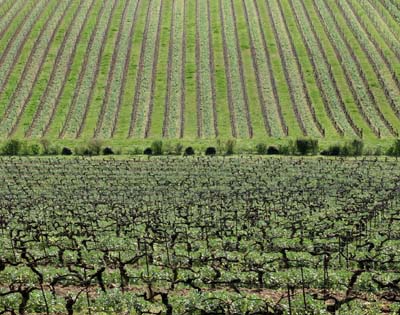 gaillac-2022-04-16-007a1