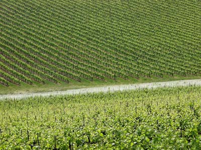 gaillac-p5081870a