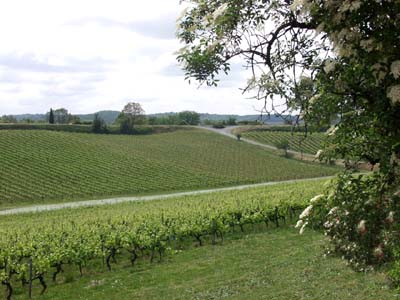 gaillac-p5081871