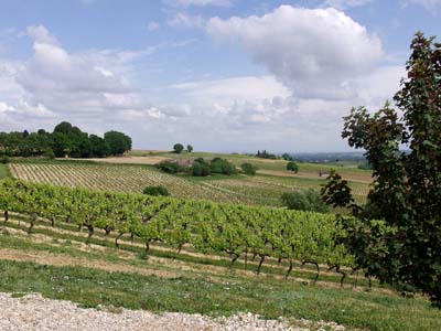 gaillac-p5081876