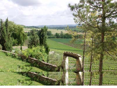 gaillac-p5081909a