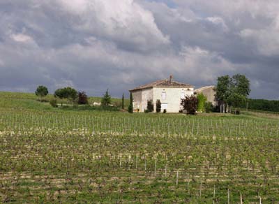 gaillac-p5081924