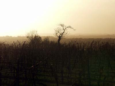 gaillac-pb235375