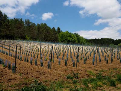 isie-tarn-3-2016-05-16-041a