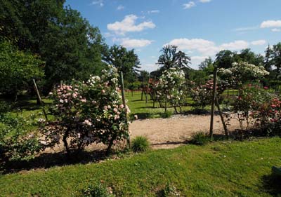 isie-tarn-3-2016-06-05-023
