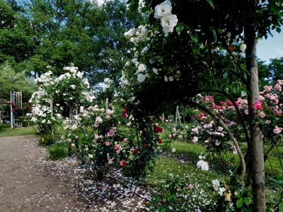 isie-tarn-3-2016-06-05-046