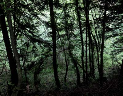montagne-noire-2018-05-21-078