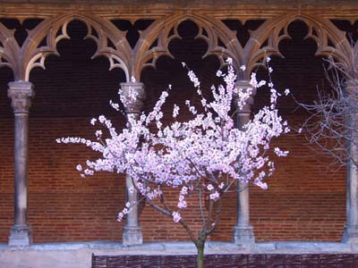 0-augustins-005