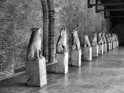 0-augustins-033
